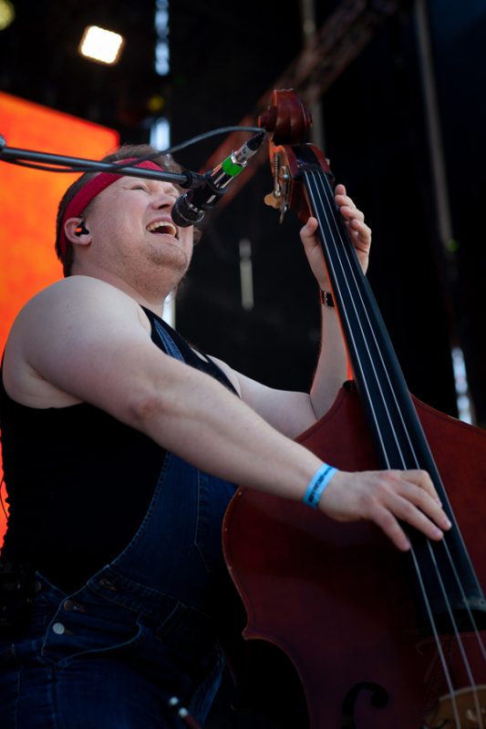 Steve`n`Seagulls